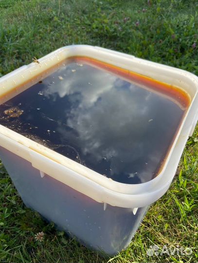 Мед оптом/Доставка по РФ