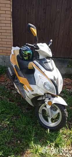 Ирбис центрино