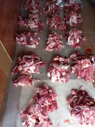 Мясо говядина