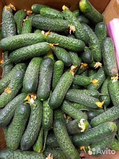 Доставка овощей