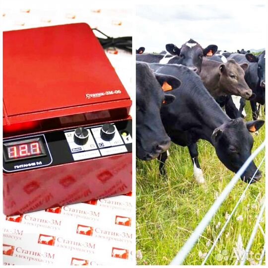 Электропастух 6 га