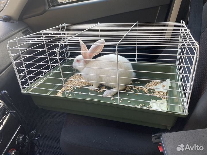 Клетка для кролика