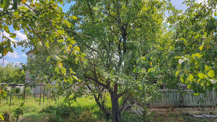 Дача 12,1 м² на участке 6,4 сот.