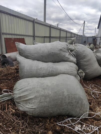 Конский навоз, удобрение, перегной