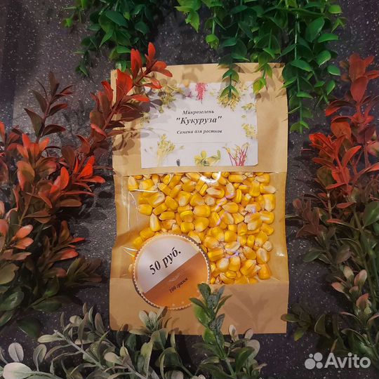 Семена для микрозелени