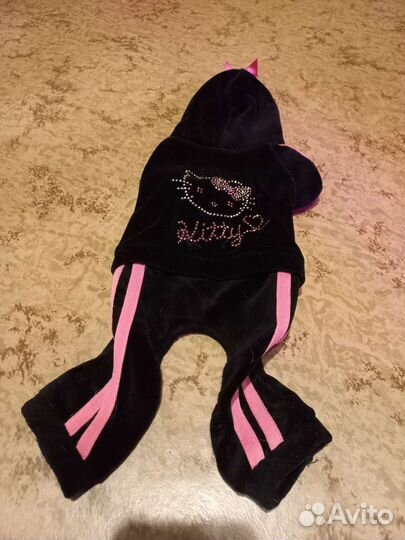 Одежда для маленьких собак