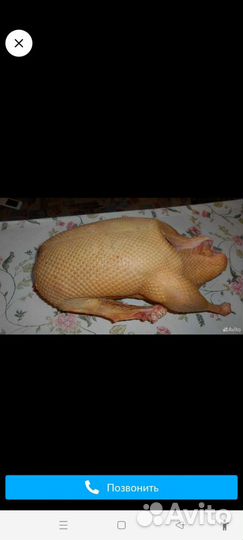 Мясо индоуток