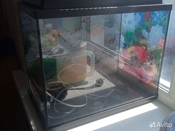 Аквариум