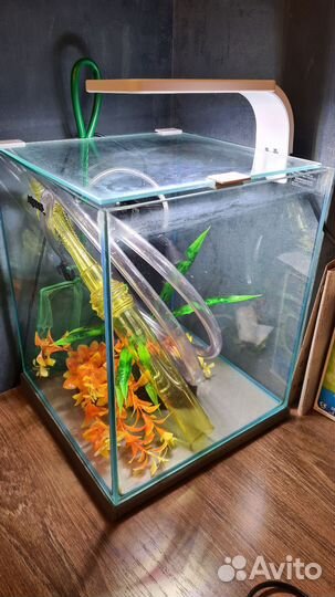 Аквариум б/у