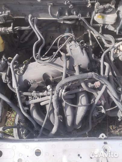 Двигатель ford focus 1 cdda