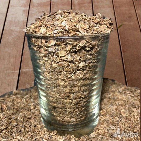 Укроп семена