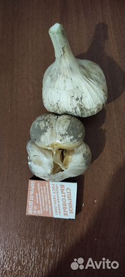 Семена чеснока голоки