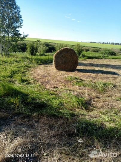 Сено в рулонах