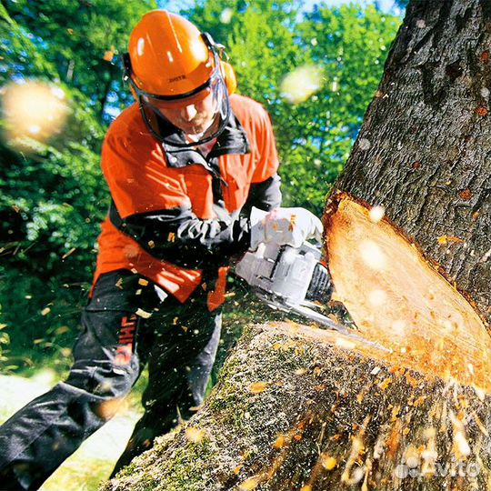 Спиливание деревьев