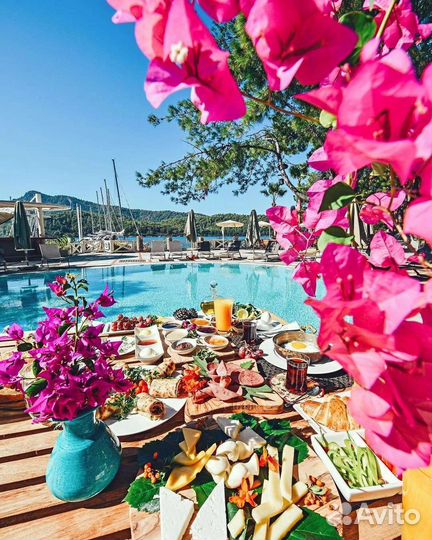 Турция из Омска