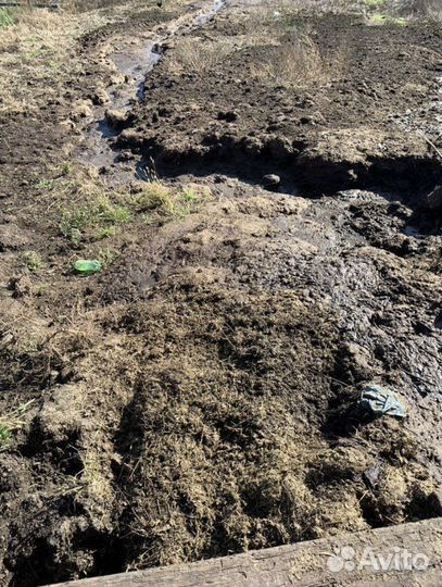 Отдам Навоз крс бесплатно