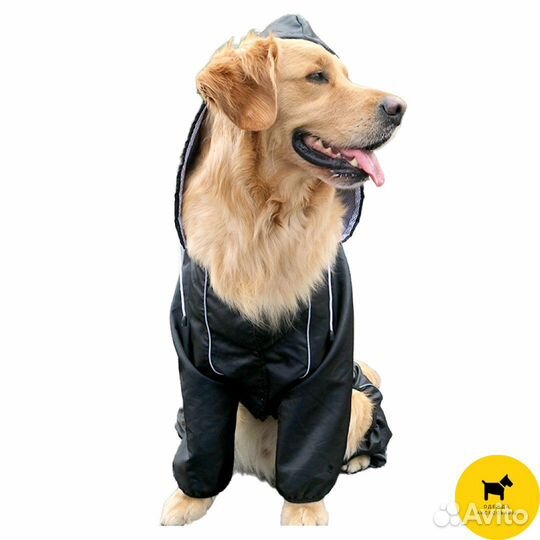 Дождевики для собак. Одежда и обувь для собак