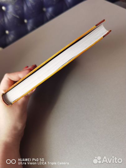 Коты воители секреты племён