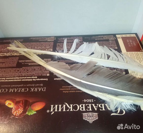 Перо гусиное