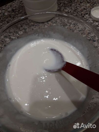 Тибетский молочный гриб