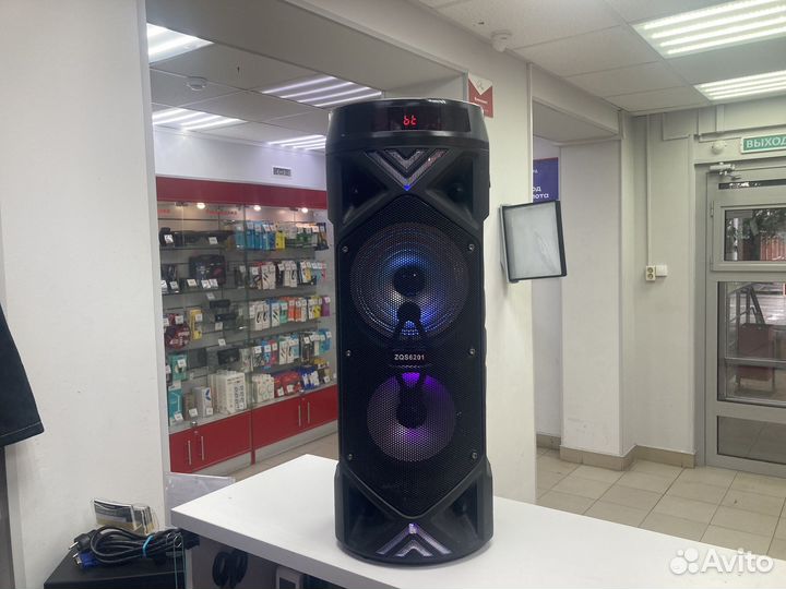 Сп23) Колонка ZQS6201