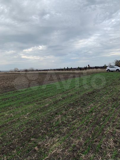 Участок 2,49 га (СНТ, ДНП)