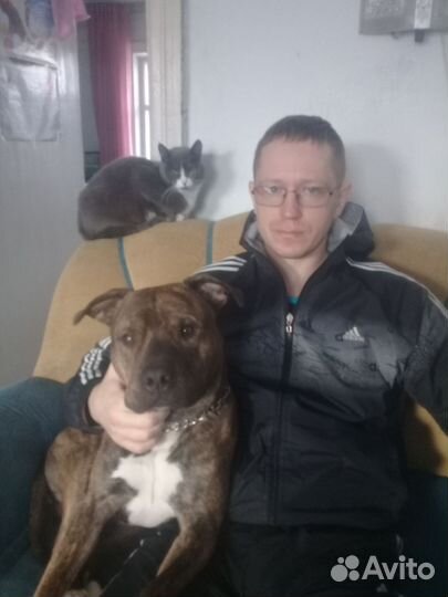 Автомеханик Автомоляр