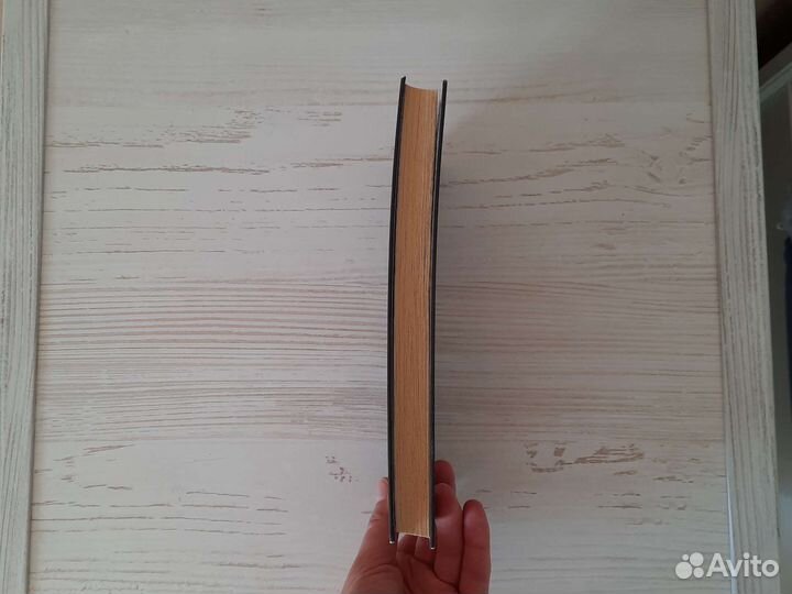 Книги Рокфеллер, Хейли Отель, Слуга государев