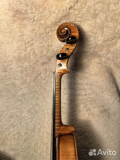Скрипка 19 в