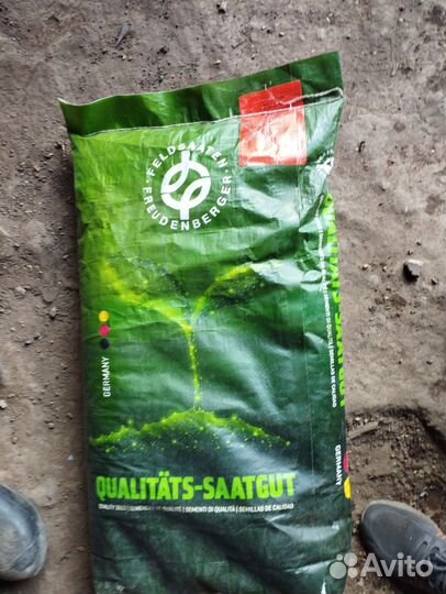 Семена кормовой свеклы