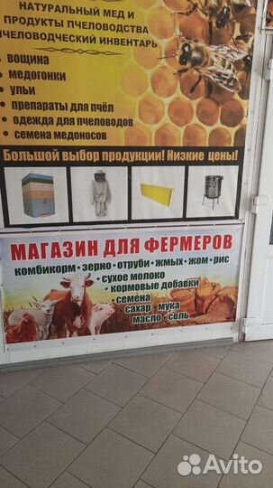 Магазин Пасечник