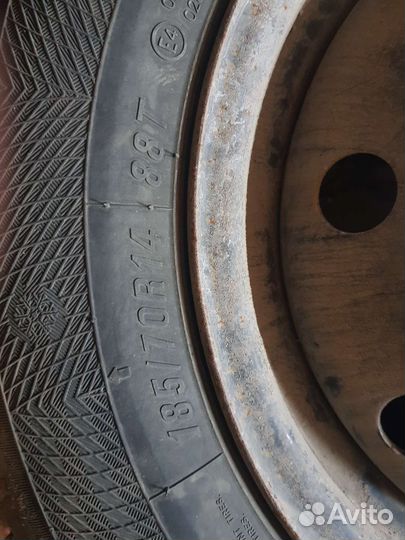 Maxxis Premitra Ice Nord NP5 185/70 R14