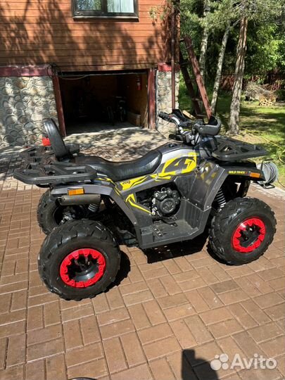 Квадроцикл wild track 200 Motoland