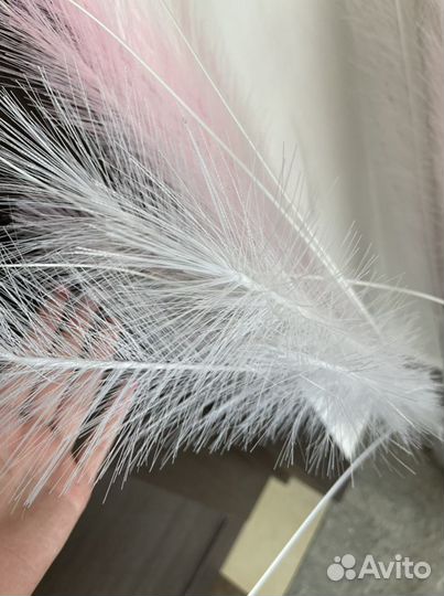 Перья для декора