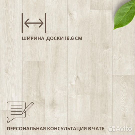 Линолеум Бонус Болтон 2, полукоммерческий Венге
