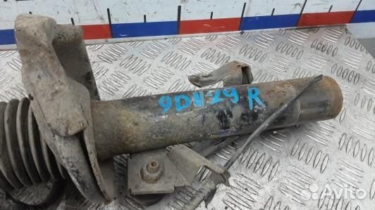 Стойка передняя правая ford C-MAX 1 (9DN29N501)