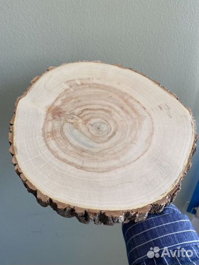 Спилы дерева