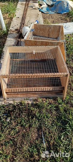 Клетки для перепелов бу