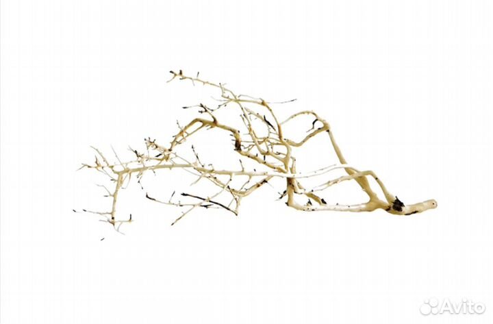 Универсальная коряга «Окинава» для террариума