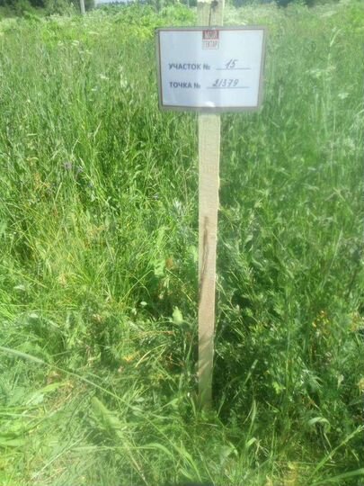 Участок 100 сот. (СНТ, ДНП)