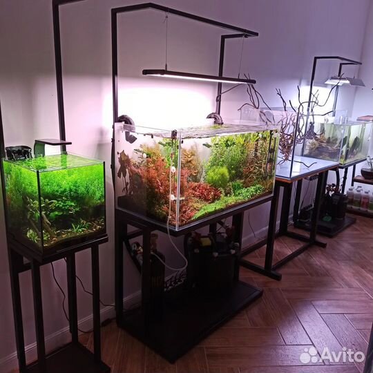 Аквариумы, тумбы, декор, растения