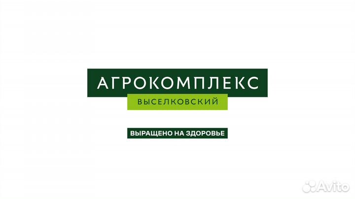 Укладчик-упаковщик