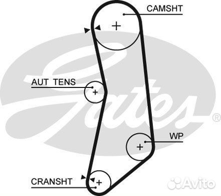 Ремень грм 129x220H Fiat Panda/Punto/Doblo/Palio