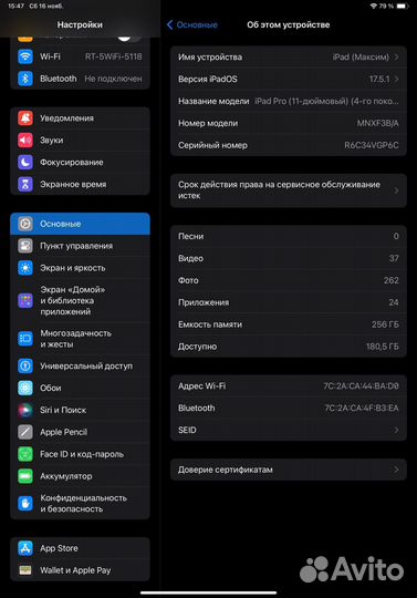 iPad 11 Pro (256 Гб)