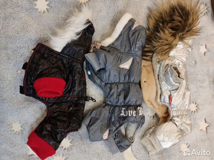 Одежда для мелких собачек б/у и обувь новая