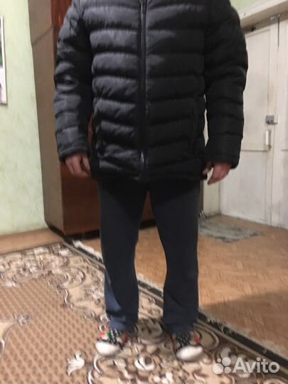 Одежда