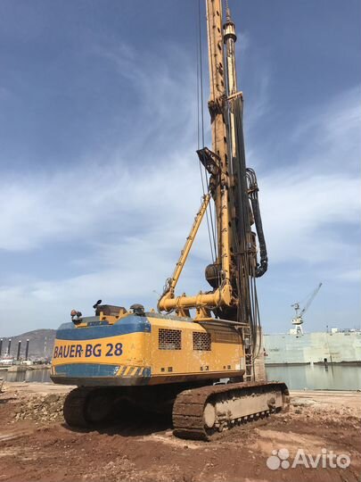 Разбор Бауэр Bauer