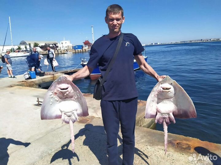 Морская прогулка рыбалка