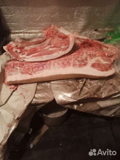 Мясо свинина домашняя