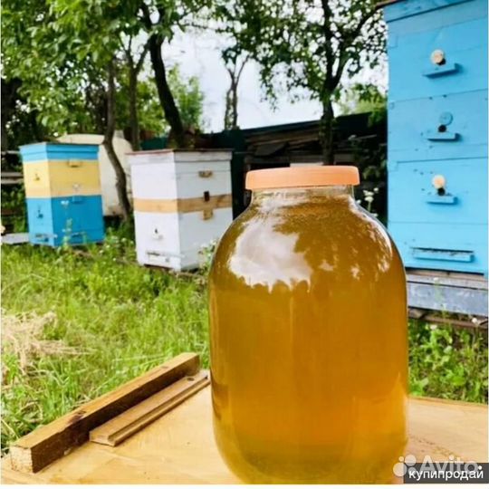 Продается мед